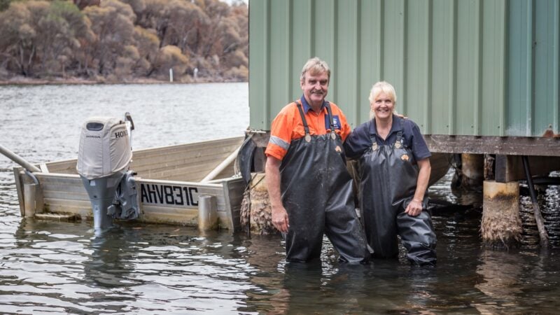 Businesses bounce back after the fires