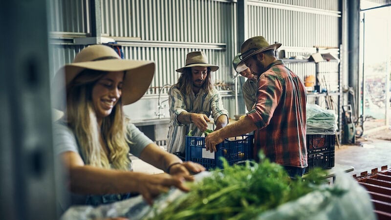 Backpackers at Eaglerise Farm in Mullengandra