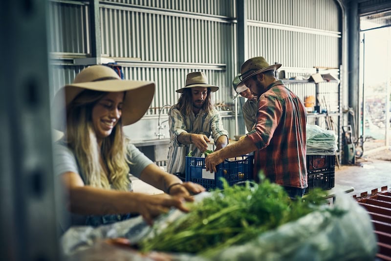 Backpackers at Eaglerise Farm in Mullengandra