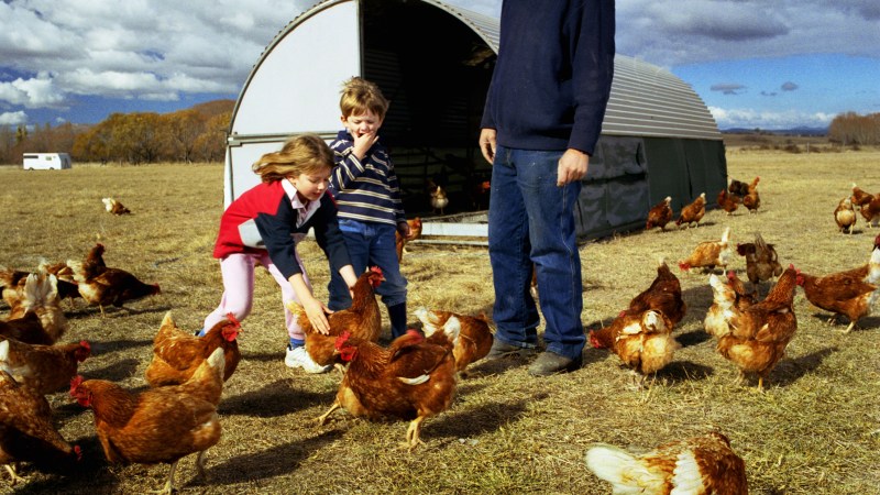 Kids to Farms program ready to roll