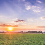 Farm at sunrise