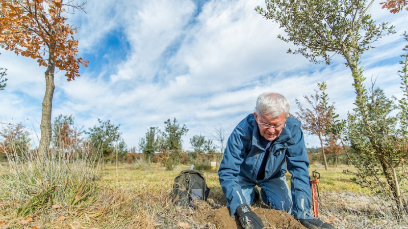 New era for truffles in the highlands
