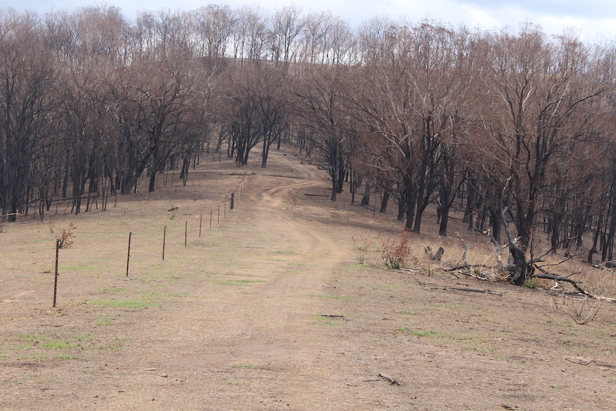 Survey for farmers hit by the bushfires