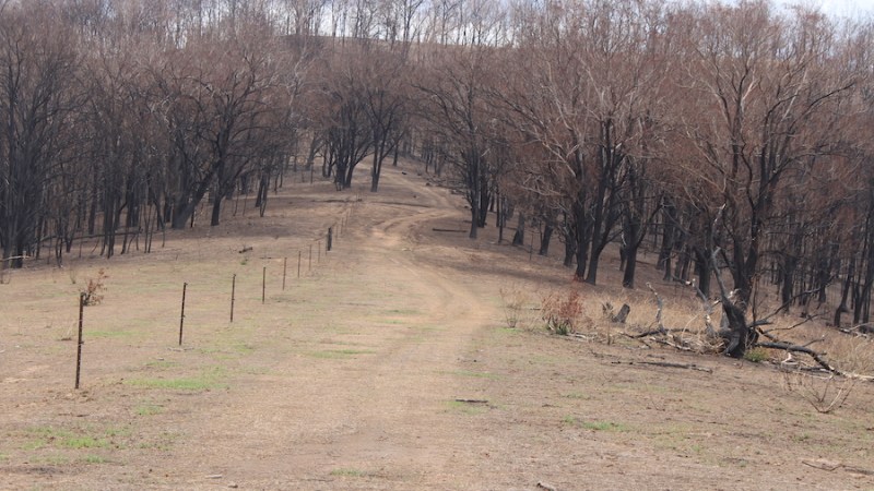 Survey for farmers hit by the bushfires