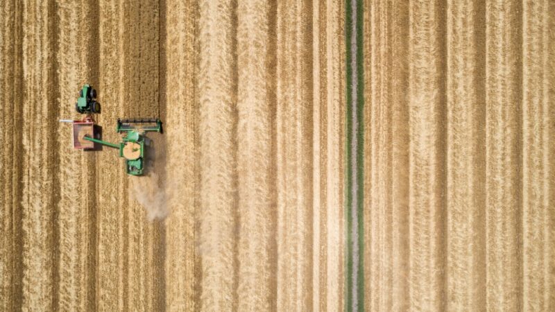 Qld border exemptions a win for grains harvest