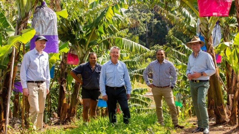 NSW ag sector feedback needed on right to farm & land use planning