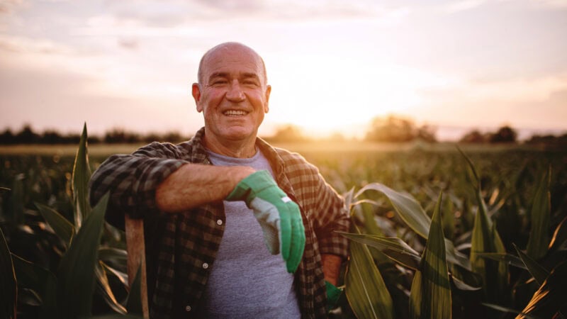 AUSTRALIA’S MOST AWARDED DIRECT LIFE INSURER OF 2020