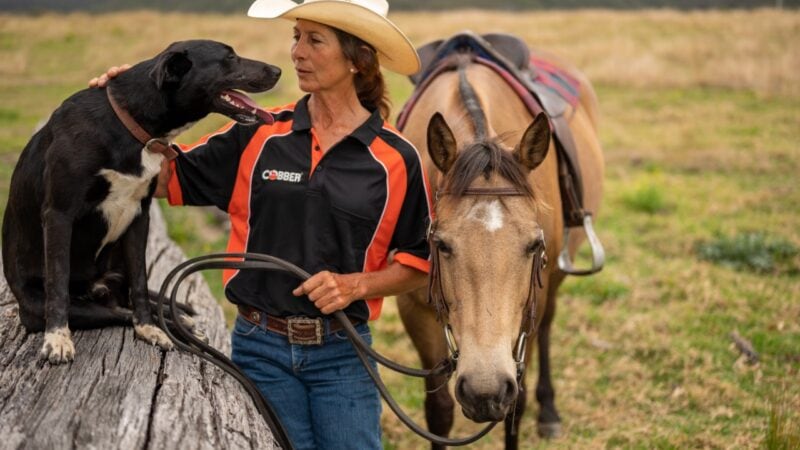 Buddy from Grafton wins best farm dog