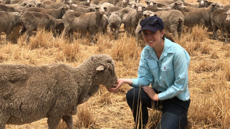 NSW Farmers’ Association Tertiary Scholarship program