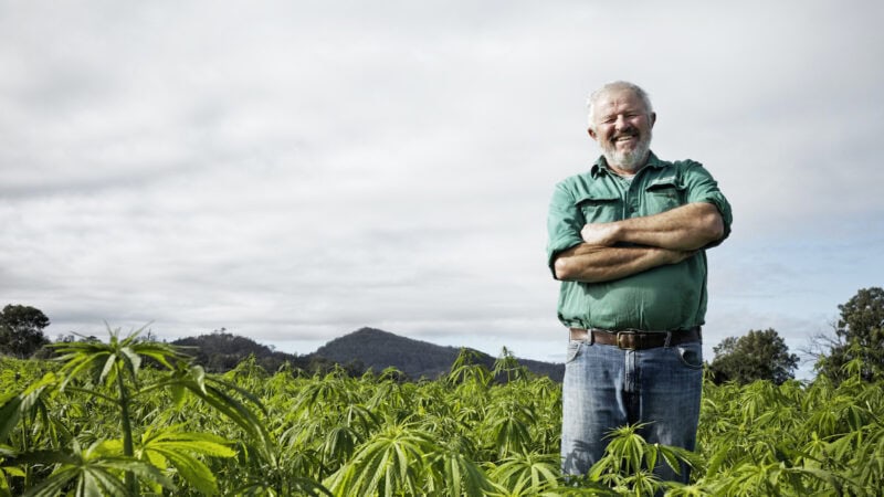 Hemp industry set to thrive