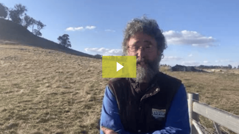 NSW Farmers’ President James Jackson speaks about the new koala management plan