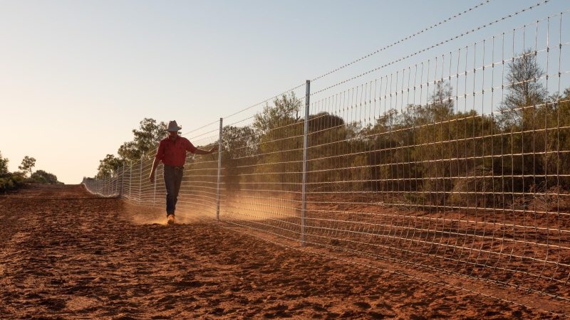 Wild dog fence extension welcomed