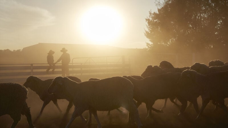 NSW Farmers partners with NAB to upskill its members