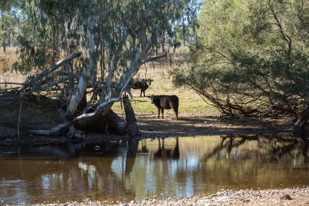 infrastructure water rebate