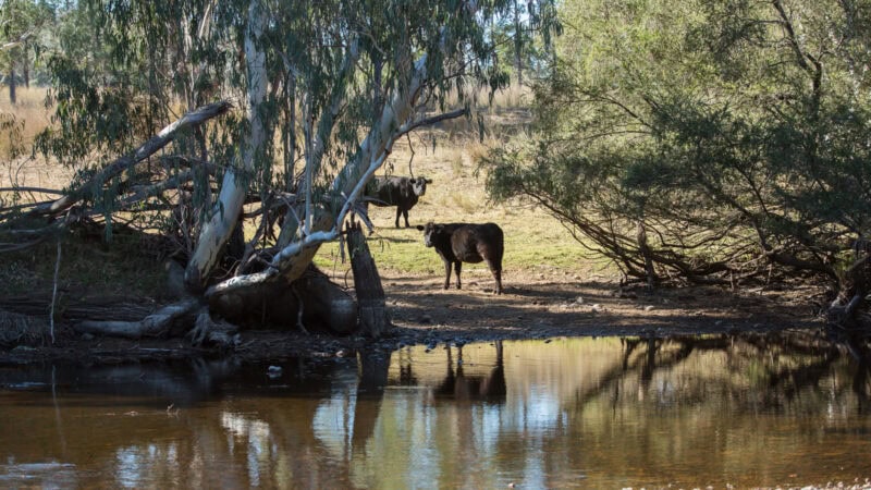 Water infrastructure rebate returns