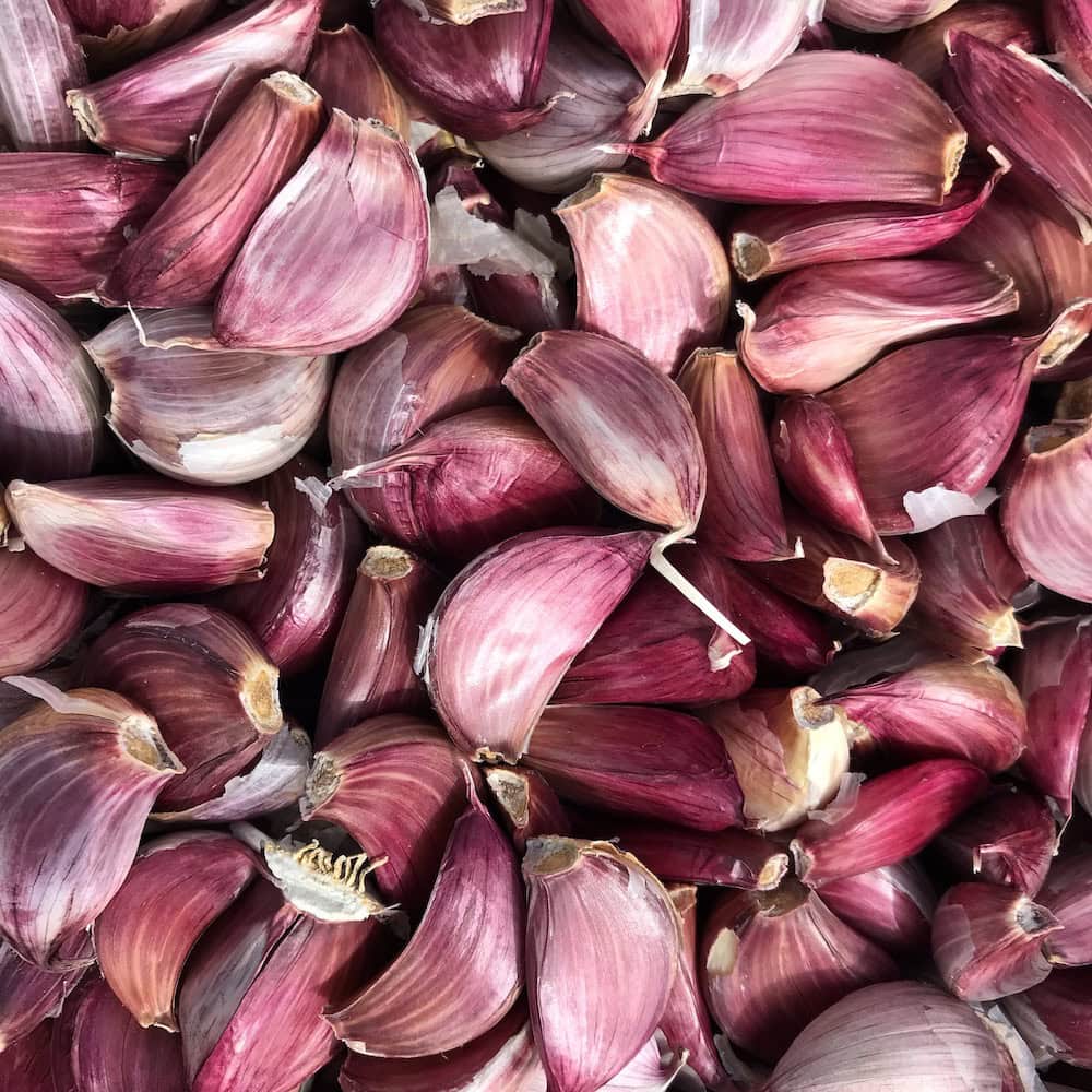 Australian garlic has a bright future, and black garlic is on trend
