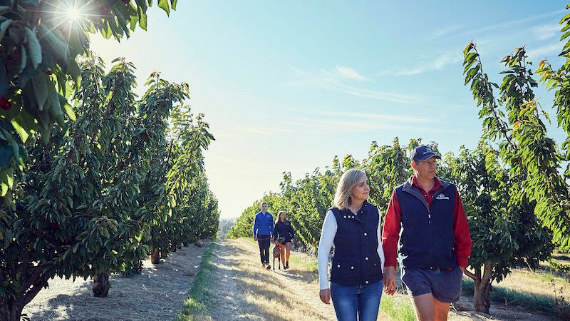2019 FOTY winner: Hall Family Orchards