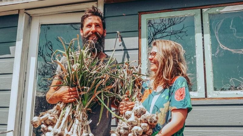 Australian garlic’s bright future