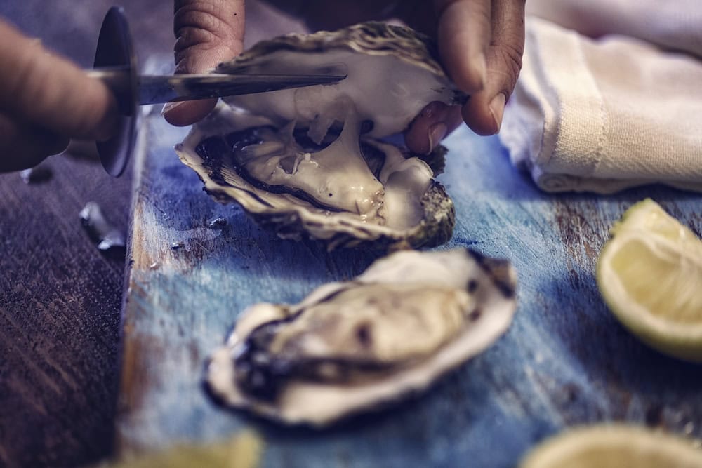 Oyster farming: a new wave is ahead