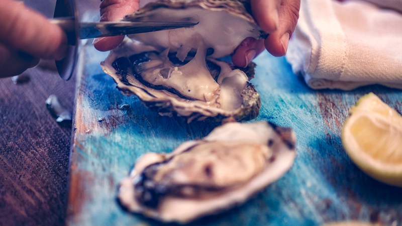 Oyster farming: a new wave is ahead