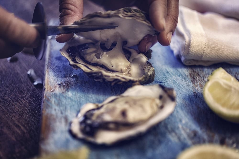 oysters
