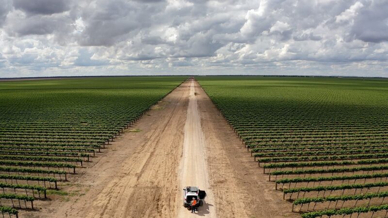 Drone training for farmers