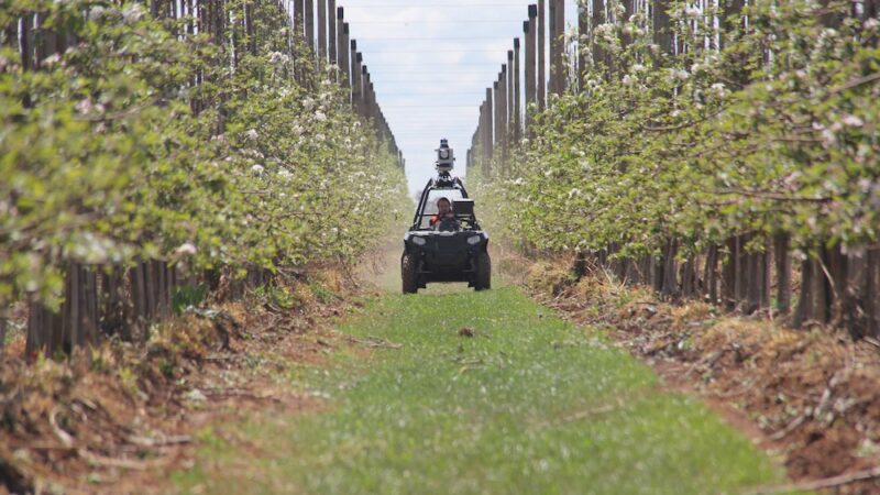 AI in farming: new tech to help the bottom line