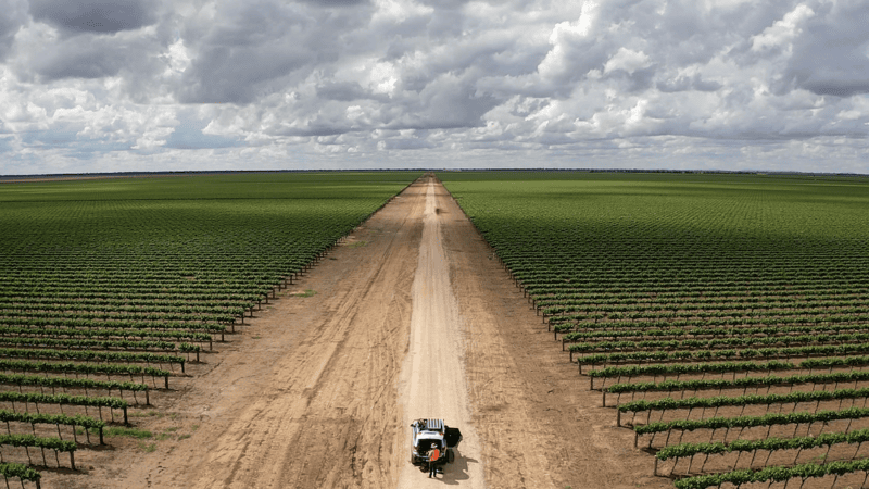 Drones and farmers – from then until now