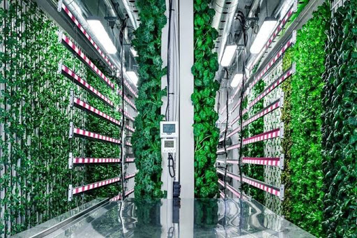 Hort Innovation in vertical farming collaboration