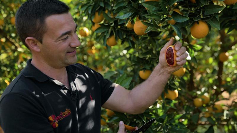 Fruit growers fear Health Star Rating will be mandated