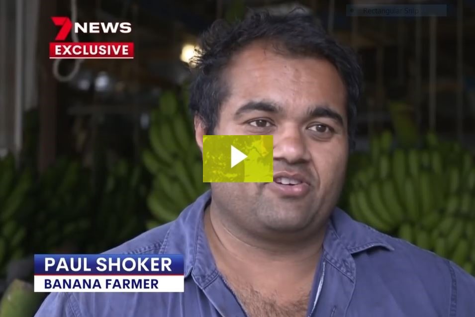 Watch NSW Farmers’ members on Channel Seven’s evening news inform its city audience of what farmers are facing as a result of the ag labour shortage