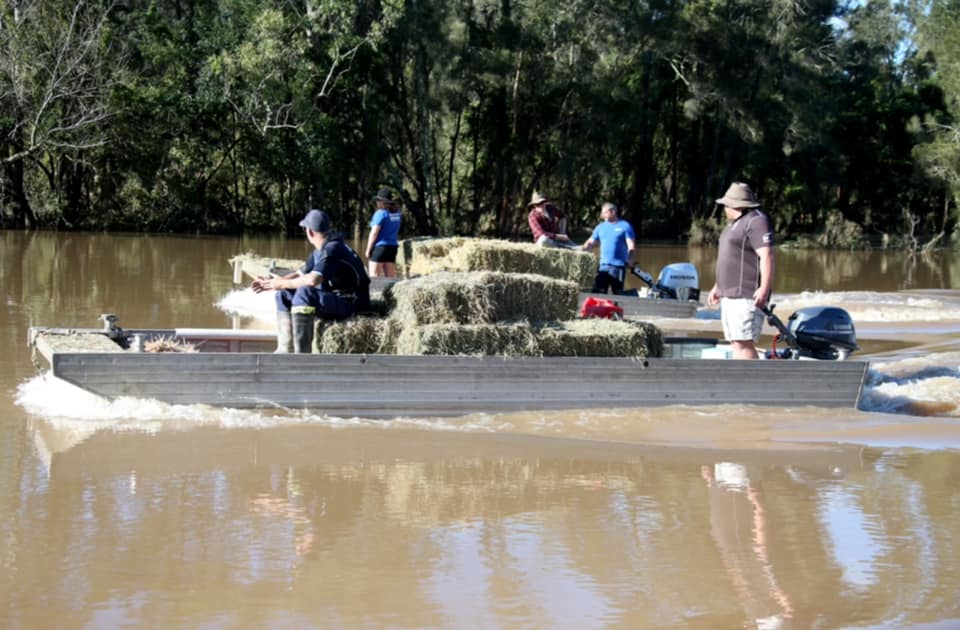 Oyster farmers help out in the flood