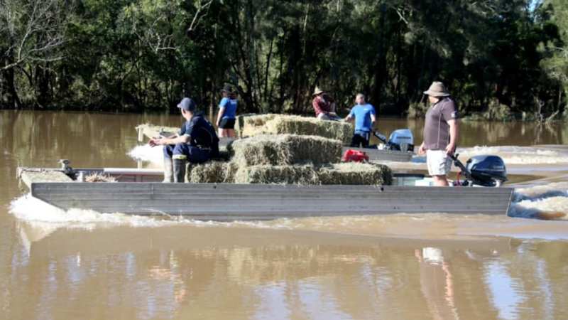 Oyster farmers help out in the flood