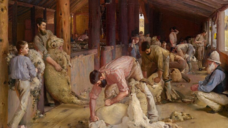 Shearing the Rams 130 years on