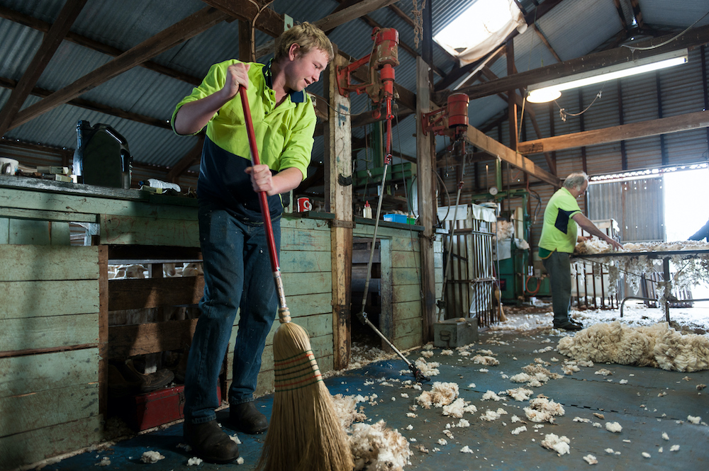 Shearing reforms & attracting new workers