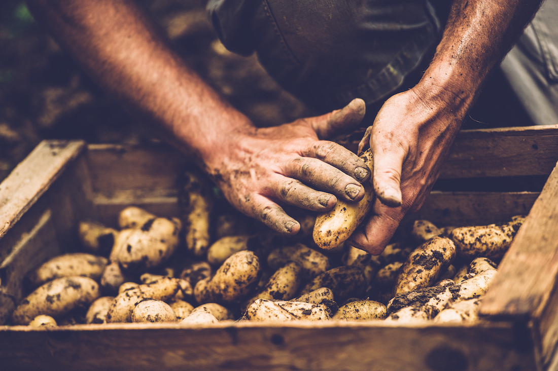Our potato industry faces global competition