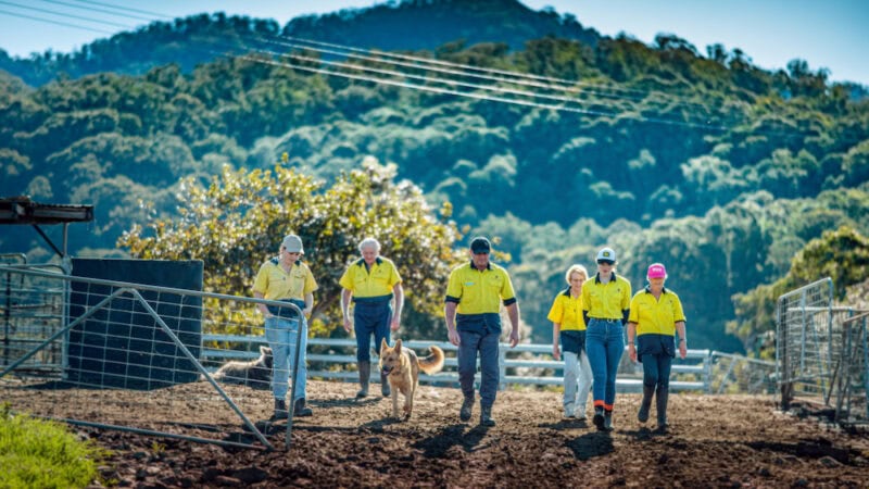 Meet the Bakes: a dairy farming family