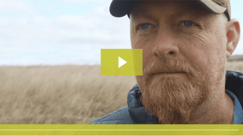 Stoney Creek: Transforming Farming with Farmdeck and IoT