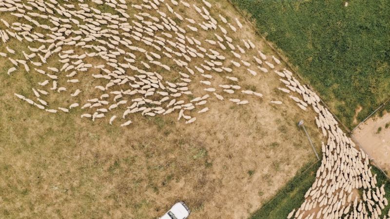 Trust in Aussie wool campaign launched