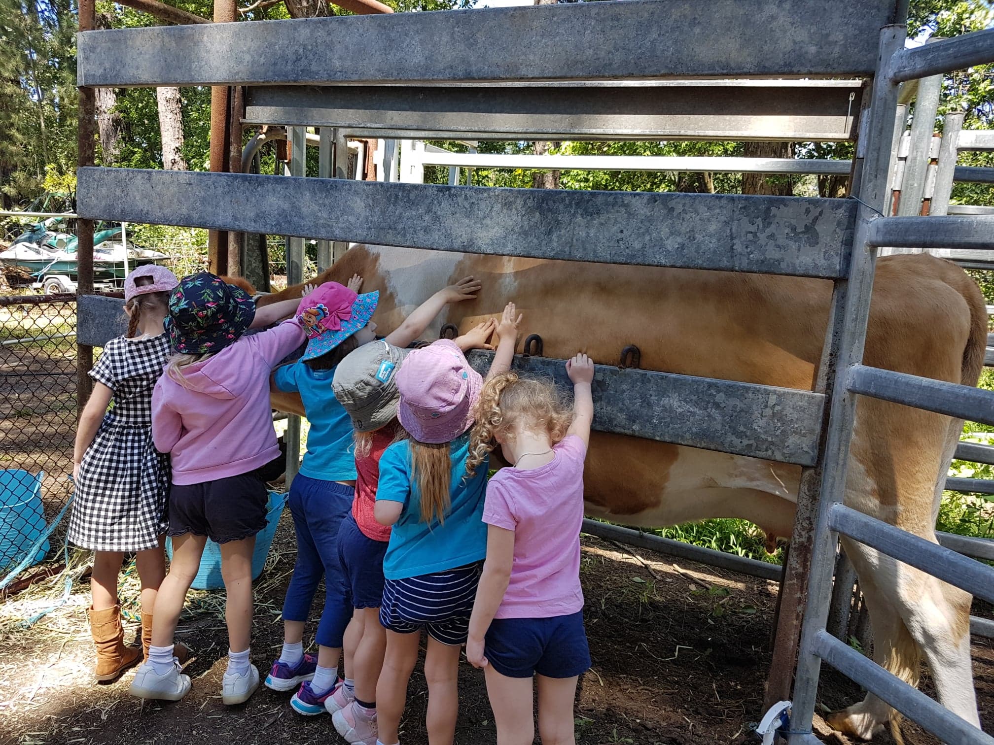 Farmers roll out Kids to Farms program