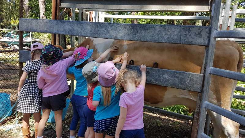 Farmers roll out Kids to Farms program