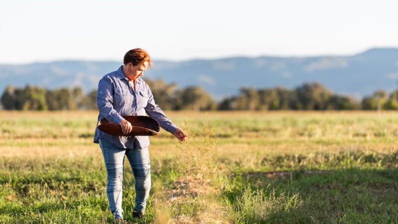 Native foods: demand and diversification