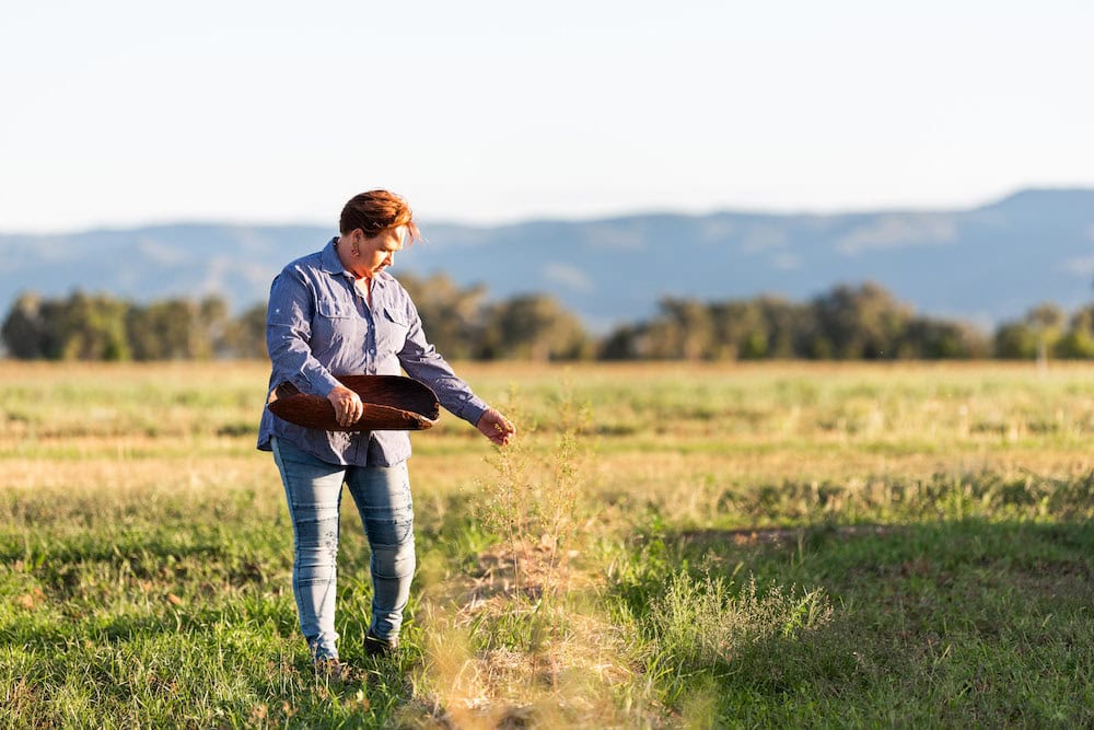 Native foods: demand and diversification