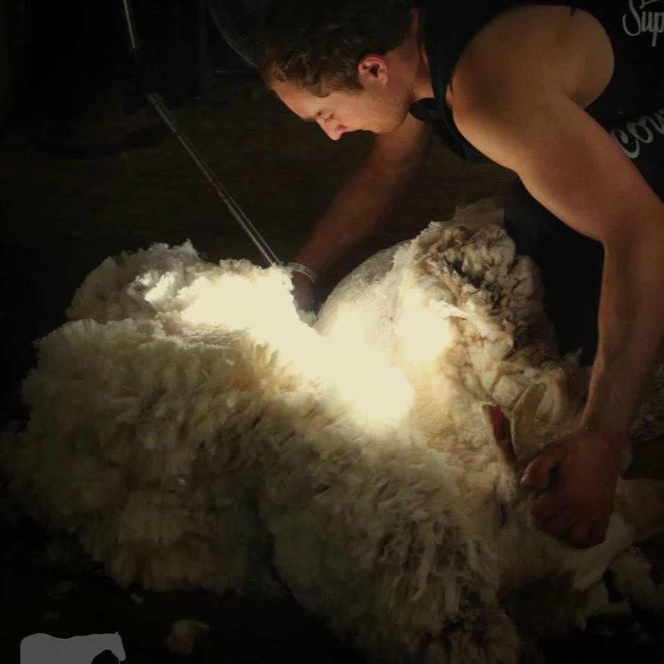 James ‘Boogie’ Ferguson swapped boilermaking for shearing