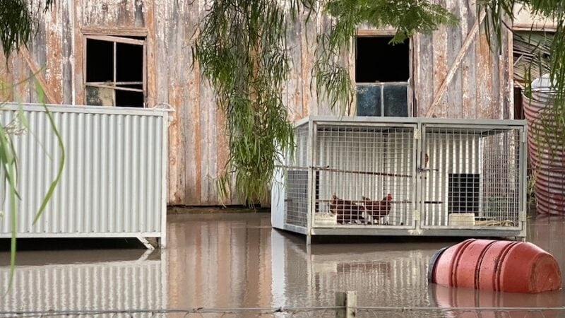 After the floods. What next for farmers?