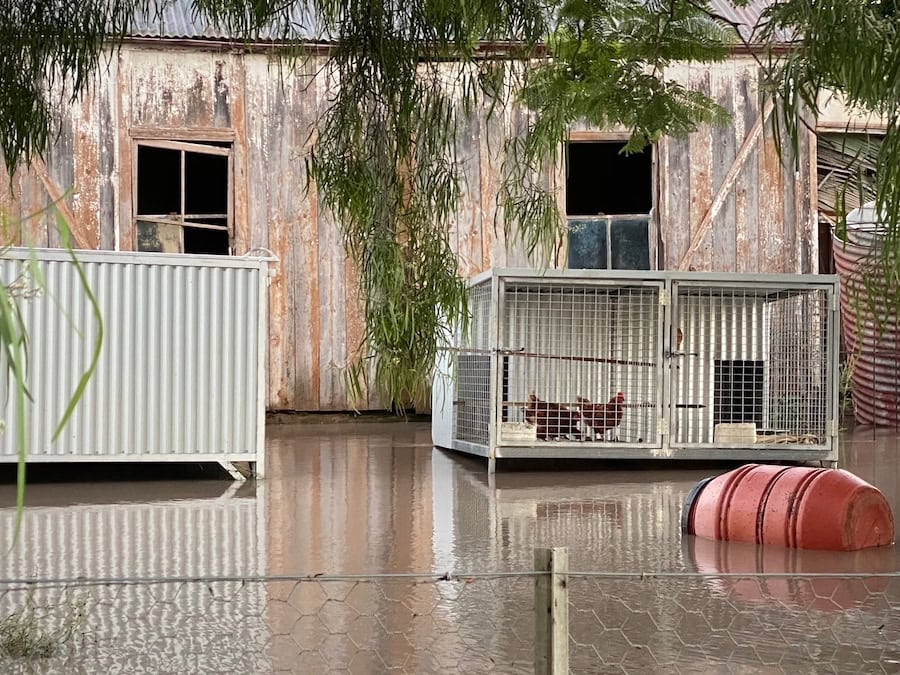 After the floods. What next for farmers?