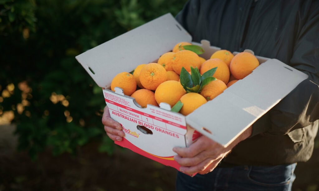 Blood oranges in a box