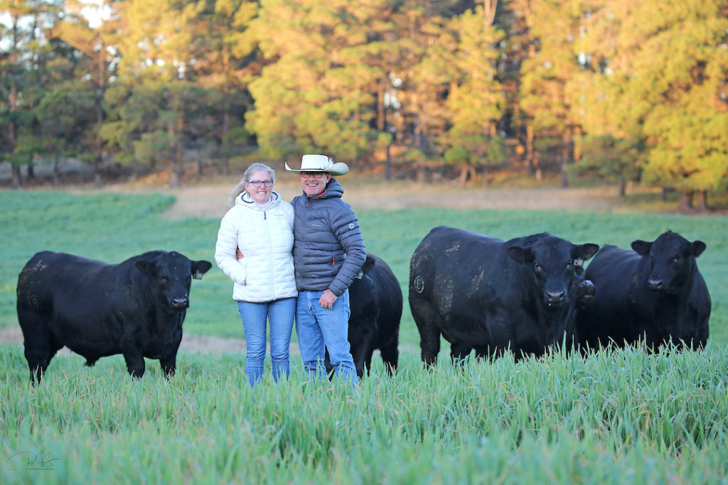 Circle8 bulls with owners Carmen and Jeremy Cooper.