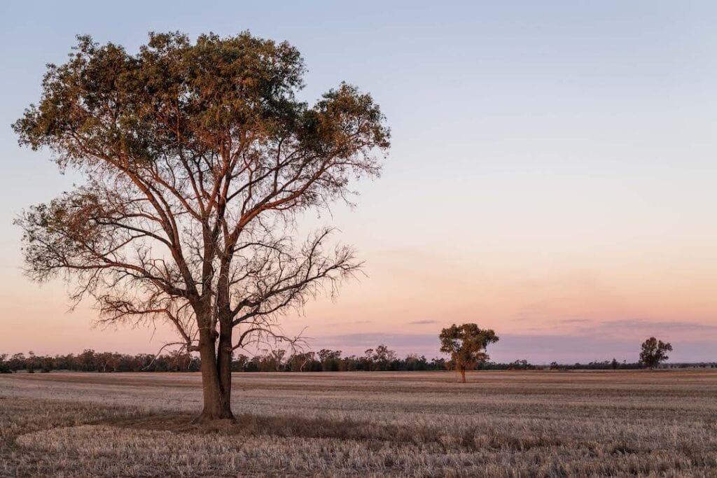 Sunset on a grains growers farm