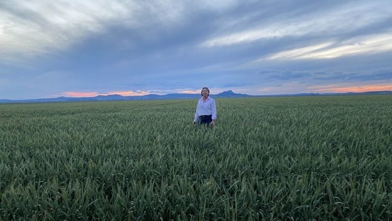 Liverpool Plains farmers caught in shadow of coal seam gas